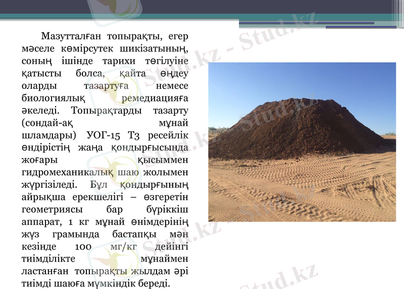 Slide 8