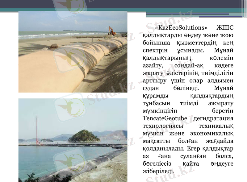Slide 9