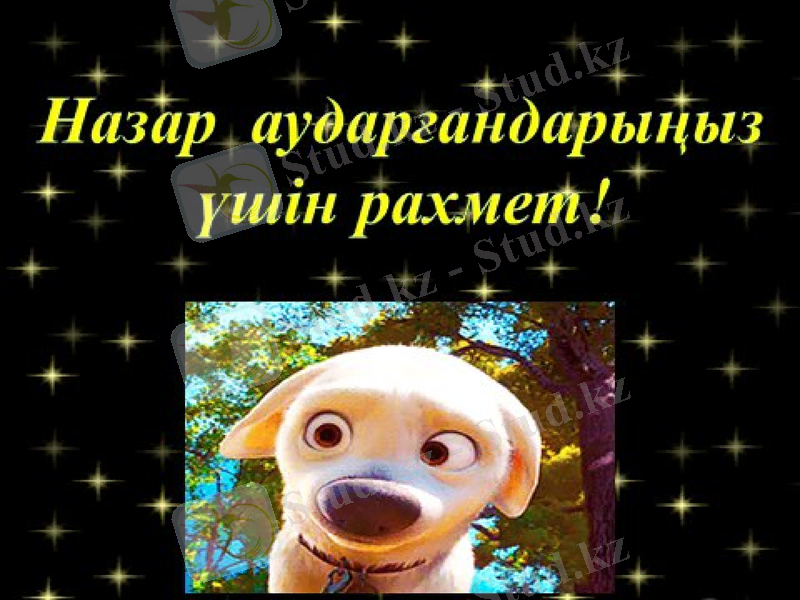 Slide 13