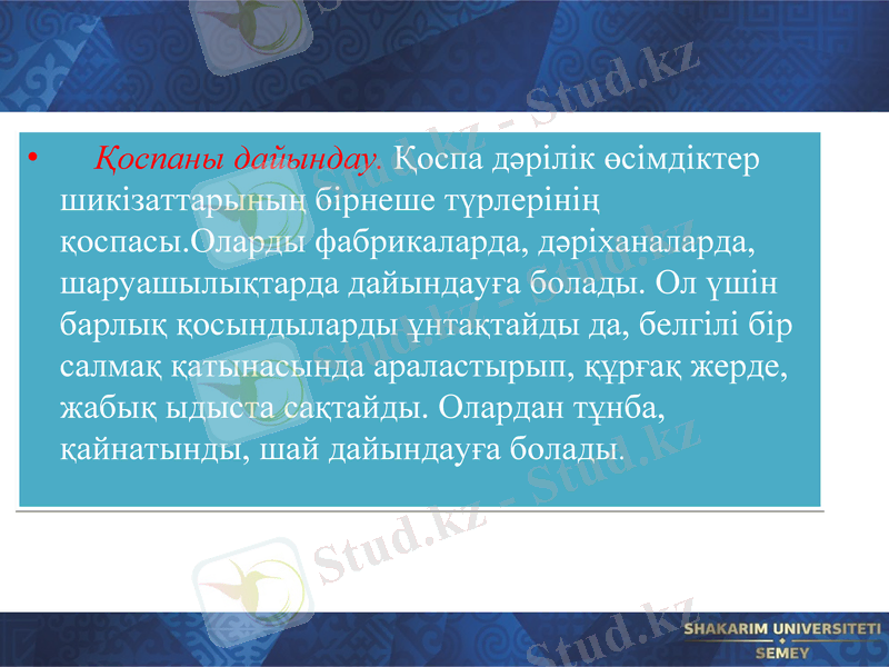 Slide 8