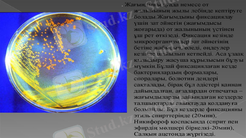 Slide 11