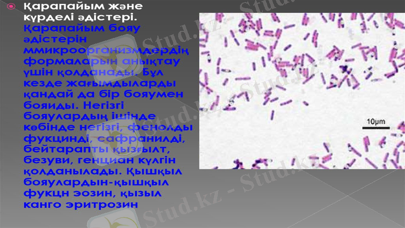 Slide 12