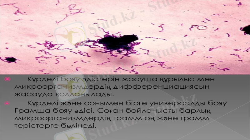 Slide 13