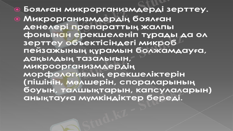 Slide 14