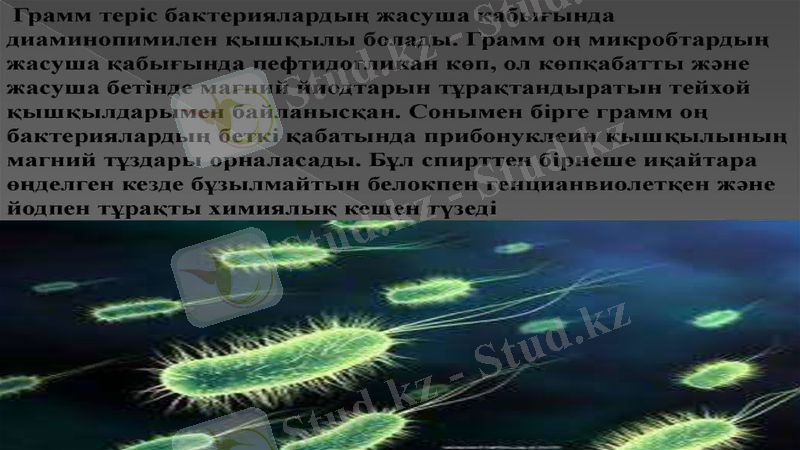 Slide 16