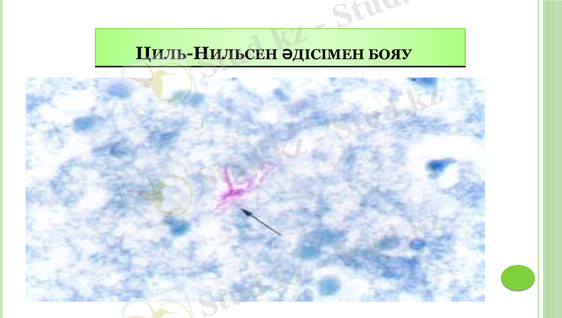 Slide 20