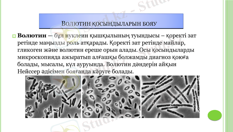 Slide 23