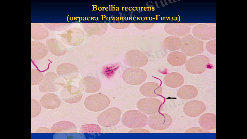 Slide 26