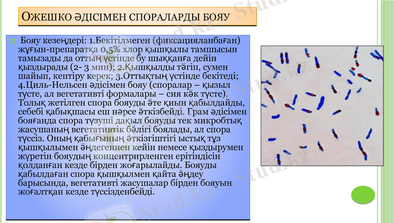 Slide 27