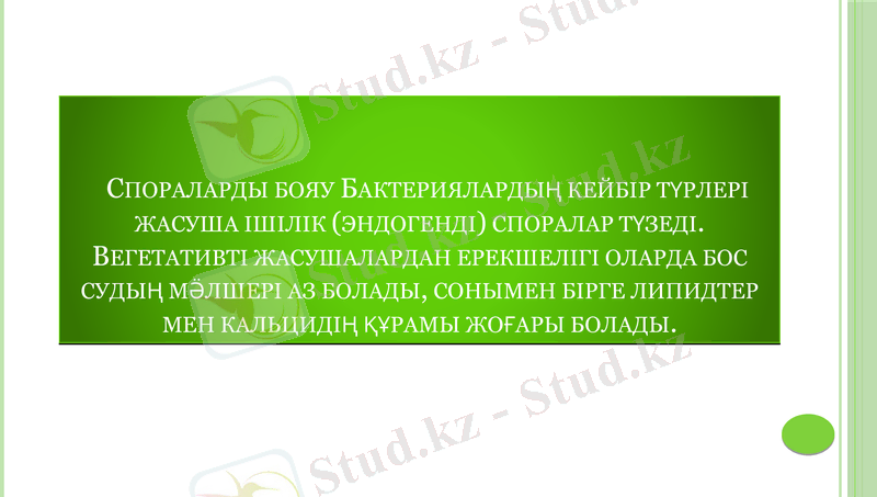 Slide 28