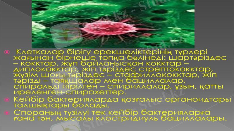 Slide 7