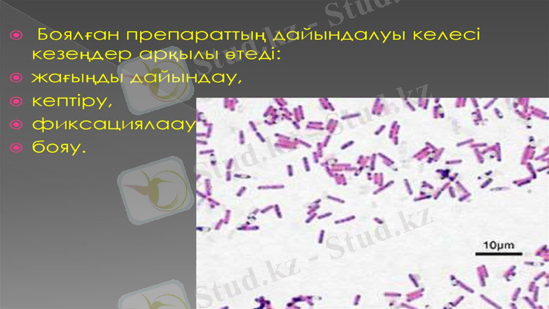 Slide 8