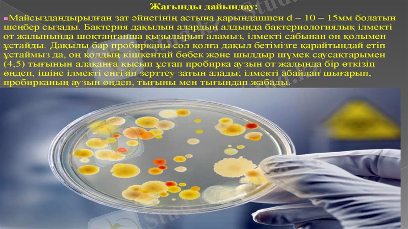 Slide 9