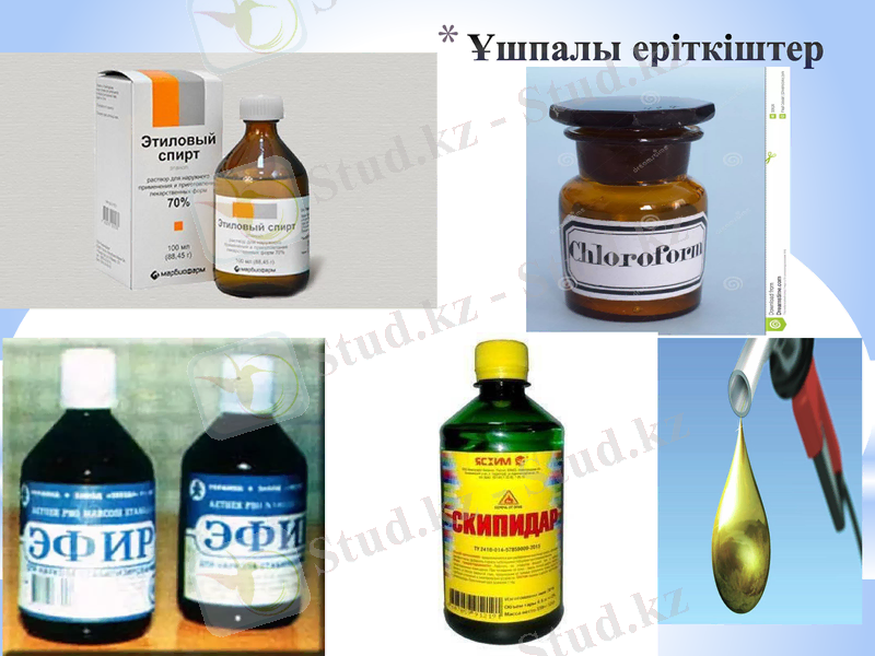 Slide 24
