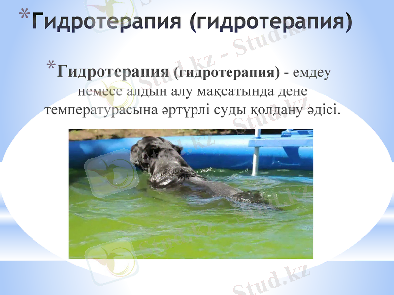 Slide 40