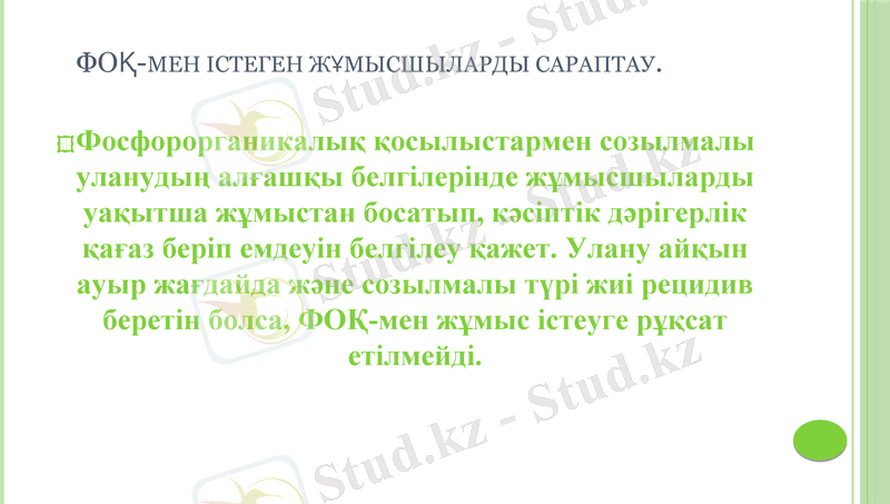 Slide 11
