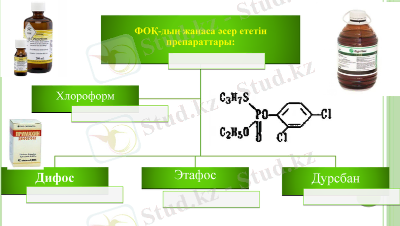 Slide 13