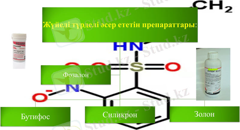 Slide 14