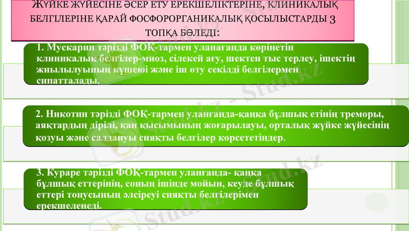 Slide 16