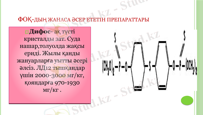 Slide 17