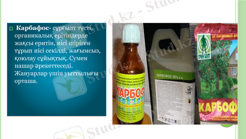 Slide 19