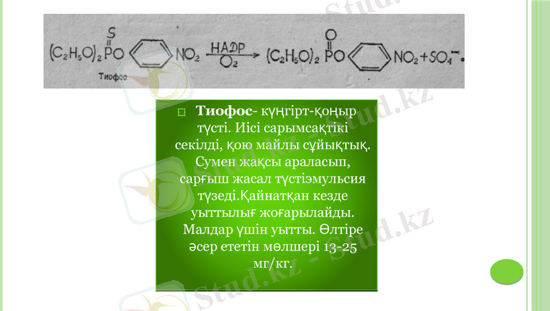 Slide 20