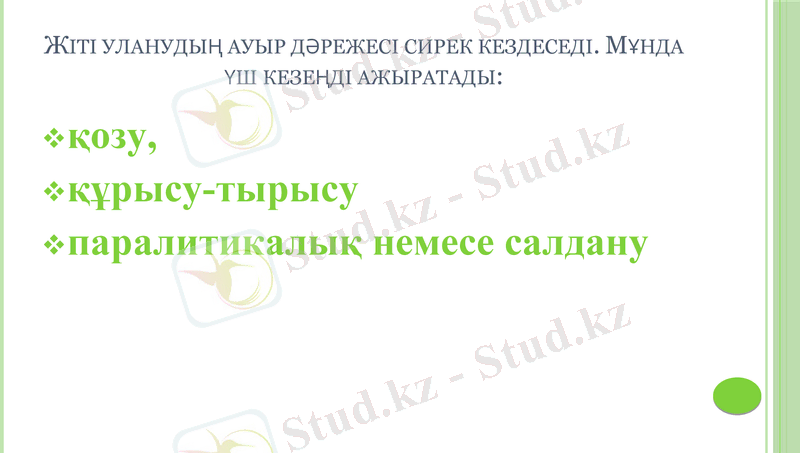 Slide 7