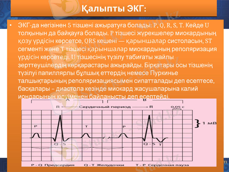 Slide 6