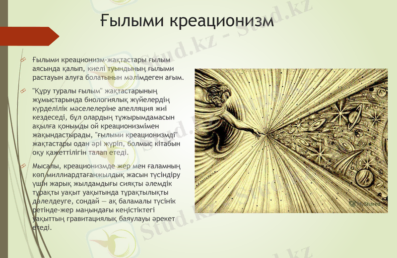 Slide 11