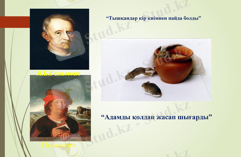 Slide 6