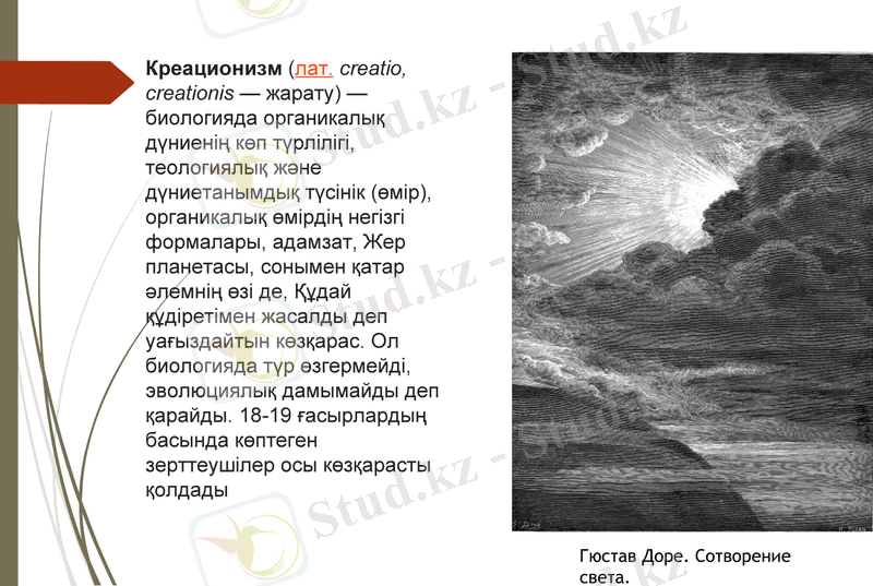 Slide 7
