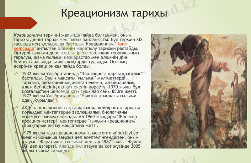 Slide 8