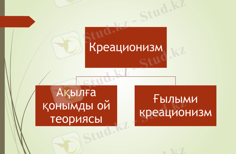 Slide 9