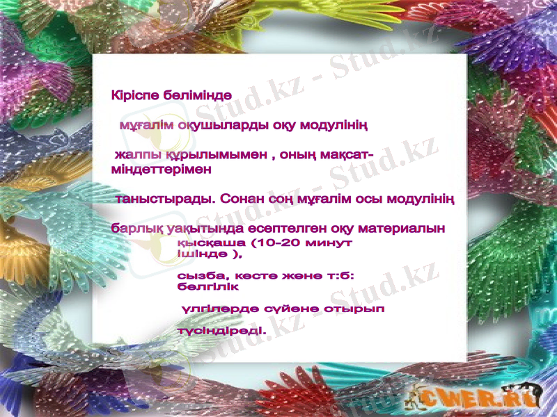 Slide 5