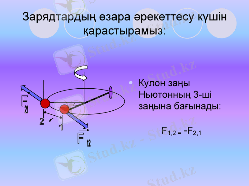 Slide 13