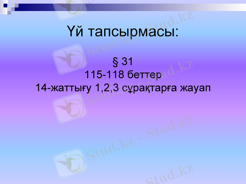 Slide 16