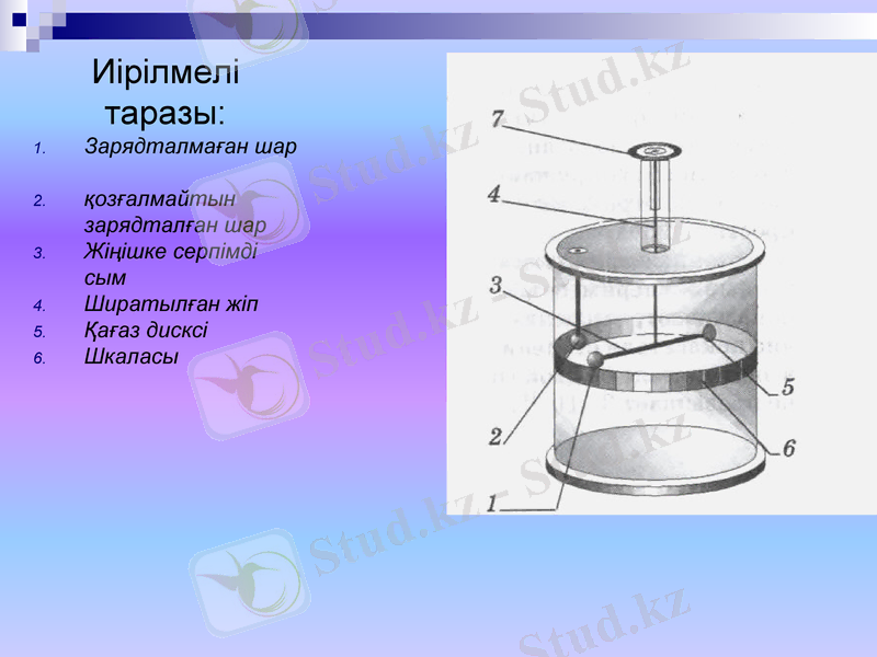 Slide 8