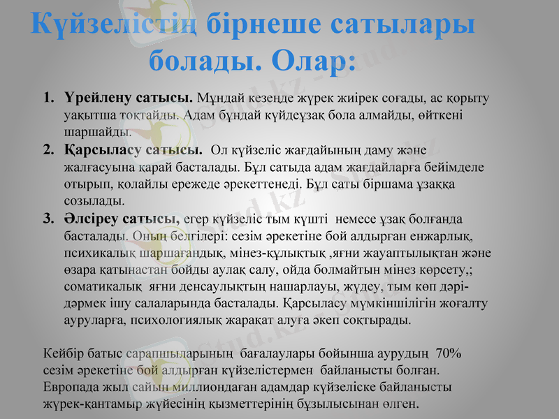 Slide 11