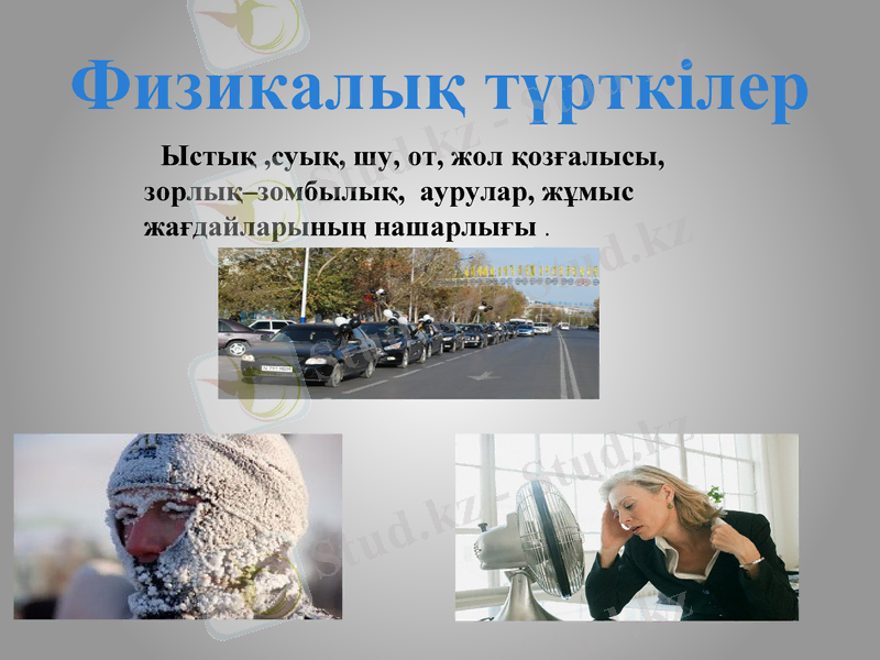 Slide 7
