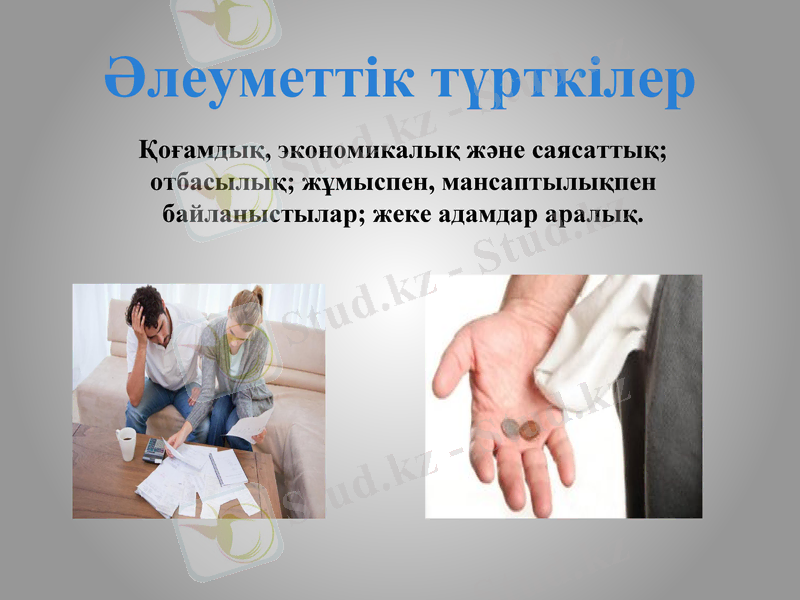 Slide 8