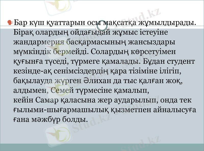 Slide 11