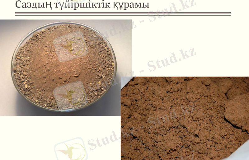 Slide 12