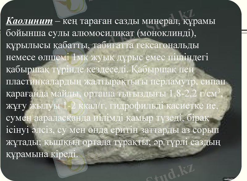 Slide 7