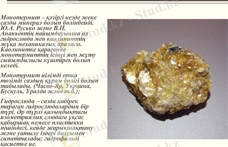 Slide 8