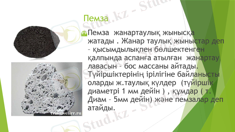 Slide 6