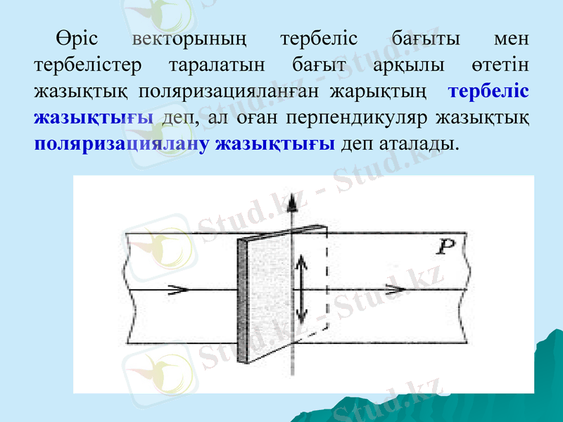 Slide 10