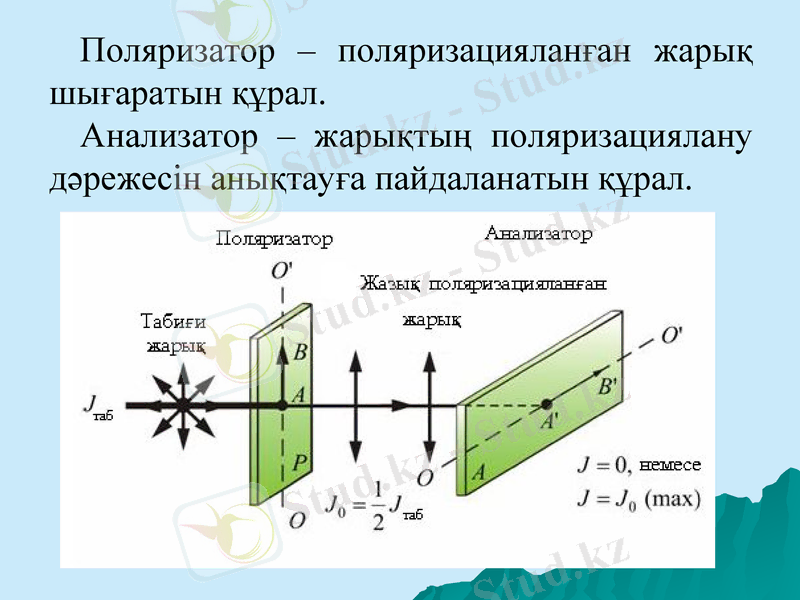 Slide 12