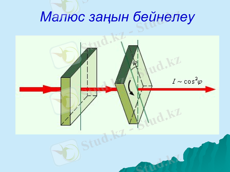 Slide 13