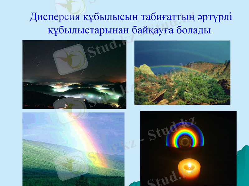 Slide 5