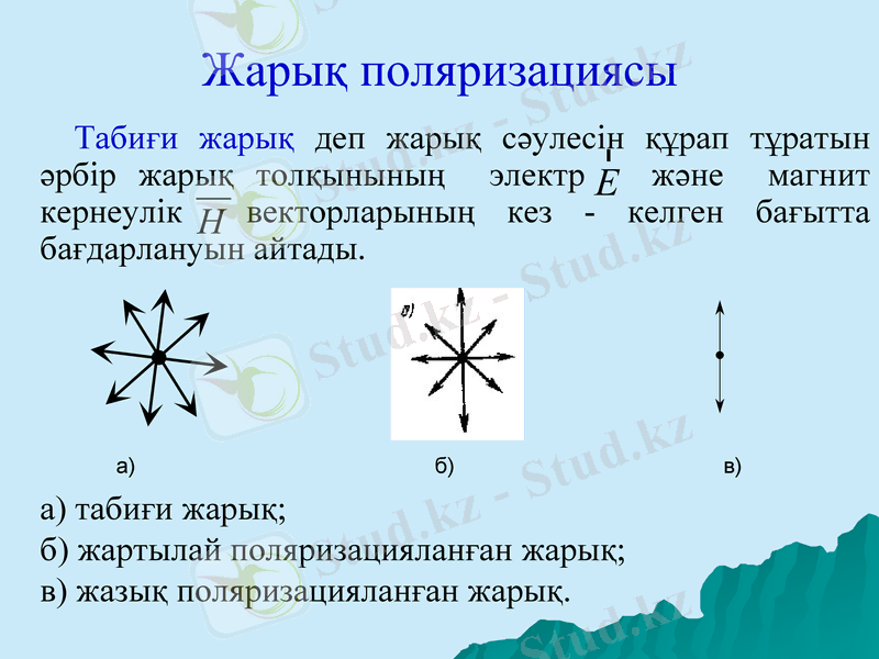 Slide 9